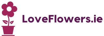 LoveFlowers.ie logo - Online flower delivery service